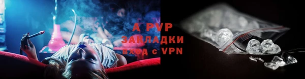 гашик Аркадак