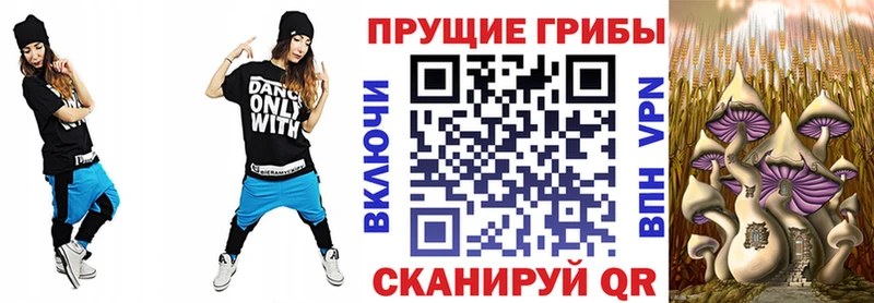 Псилоцибиновые грибы мицелий  mega   Покровск 