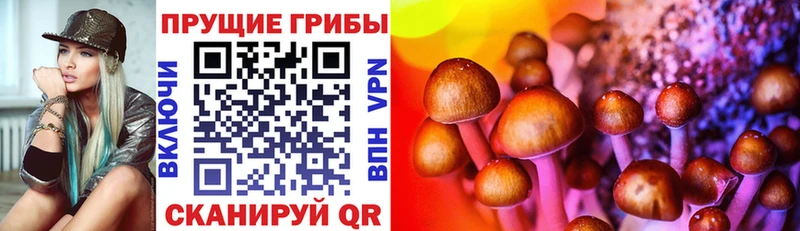 Галлюциногенные грибы Magic Shrooms Покровск